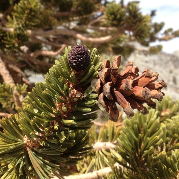 Meet your Posher, Mary - Picture 1 of 1